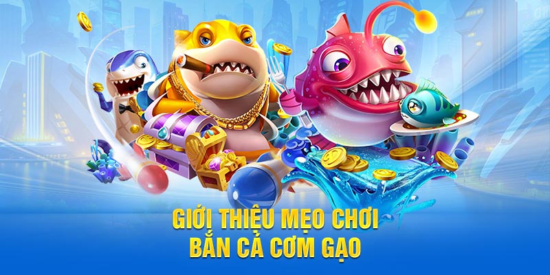 Giới thiệu mẹo chơi bắn cá cơm gạo