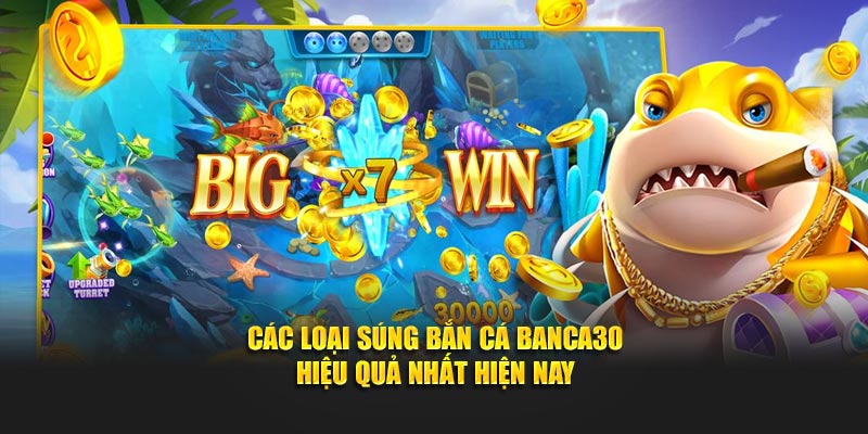 Khám phá những tính năng đặc biệt của các loại súng bắn cá