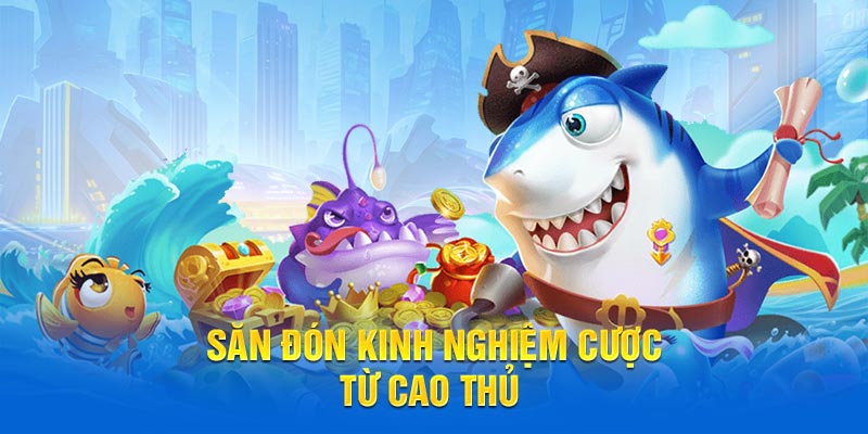 Săn đón kinh nghiệm cược từ cao thủ